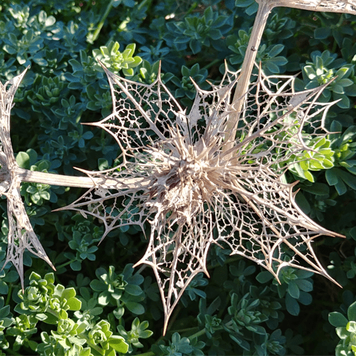 Bildkarussel_DieReiseRitterV